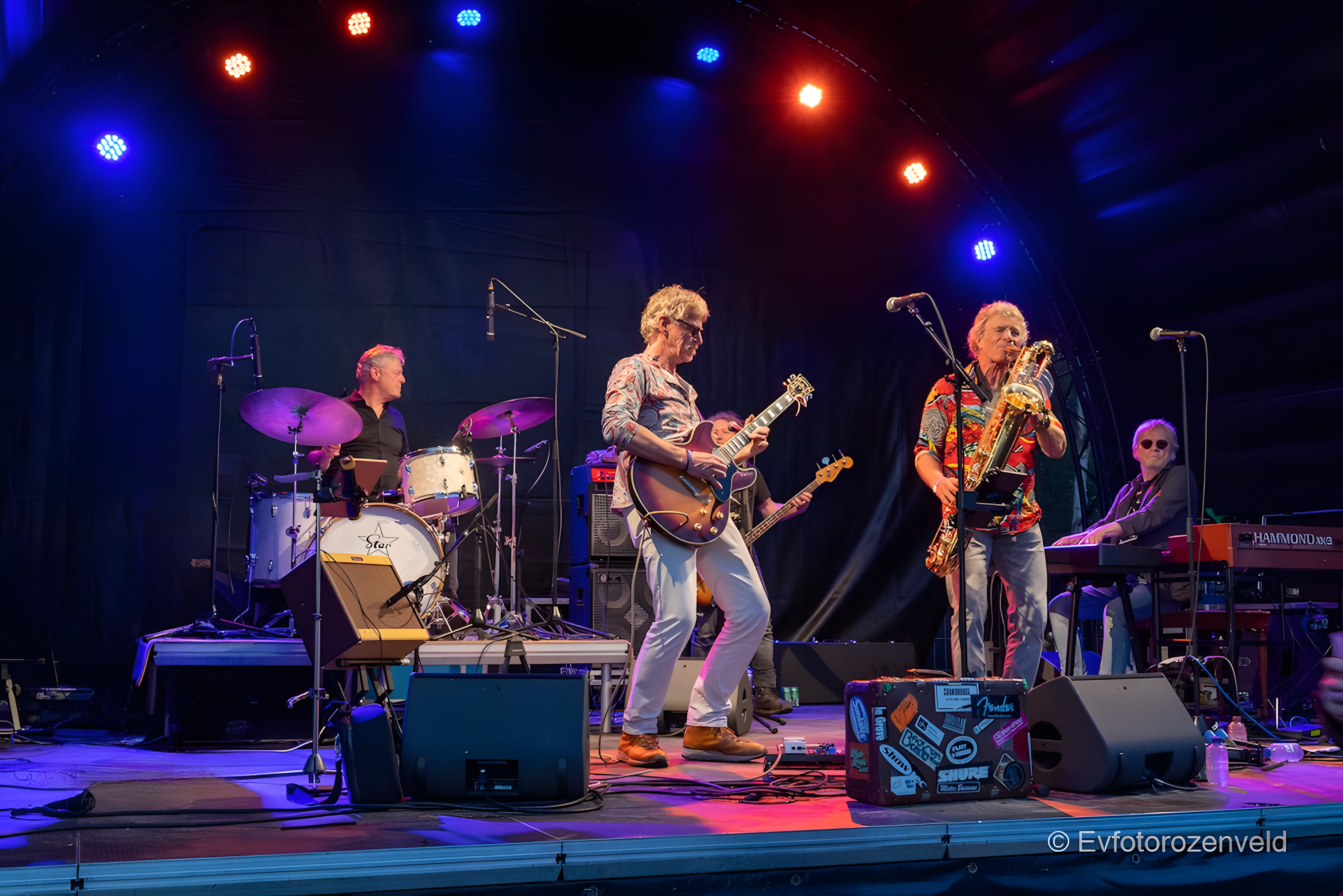 CAT FEVER BAND