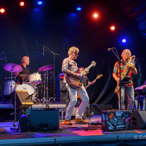 CAT FEVER BAND