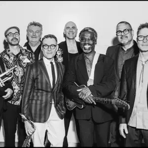 NEW COOL COLLECTIVE